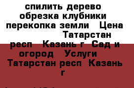 спилить дерево, обрезка клубники, перекопка земли › Цена ­ 500-1000 - Татарстан респ., Казань г. Сад и огород » Услуги   . Татарстан респ.,Казань г.